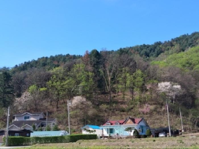 강원 춘천시 서면 임야 경매 물건 사진 3 · 2026타경50133