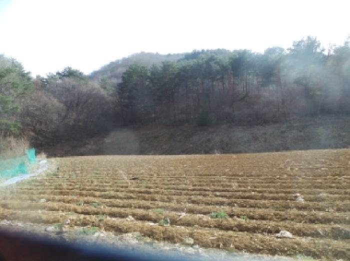 강원 홍천군 내면 전답 경매 물건 사진