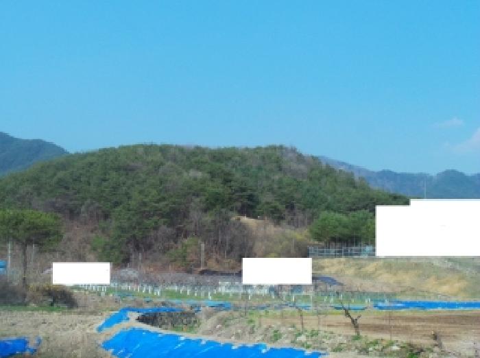 강원 홍천군 남면 임야 경매 물건 사진