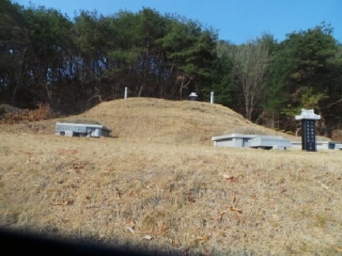 강원 홍천군 남면 임야 경매 물건 사진 5 · 2026타경50137