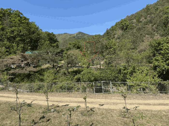 강원특별자치도 홍천군 서면 마곡리 산59 임야 경매 물건 사진
