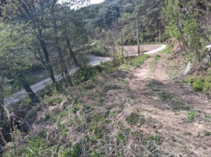 강원 양구군 국토정중앙면 대지,임야,전답 경매 물건 사진