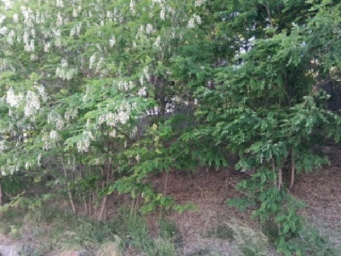 강원 춘천시 석사동 잡종지 경매 물건 사진 4 · 2026타경9