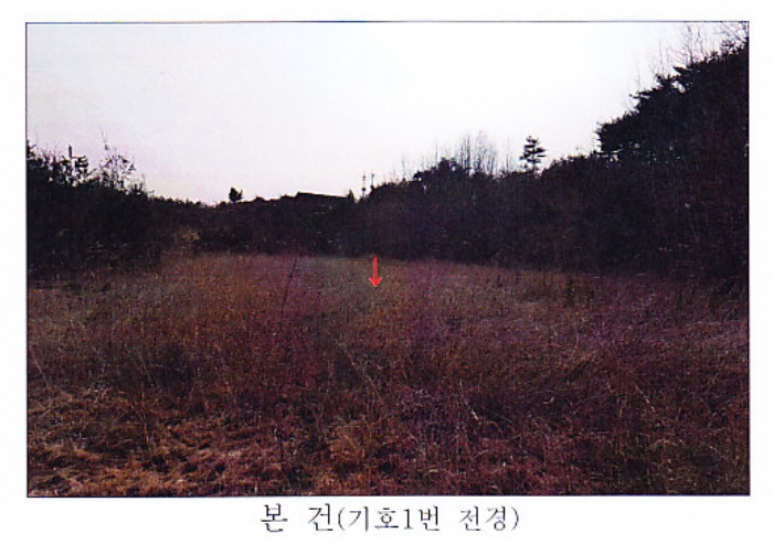 강원 강릉시 사천면 답 경매 물건 사진