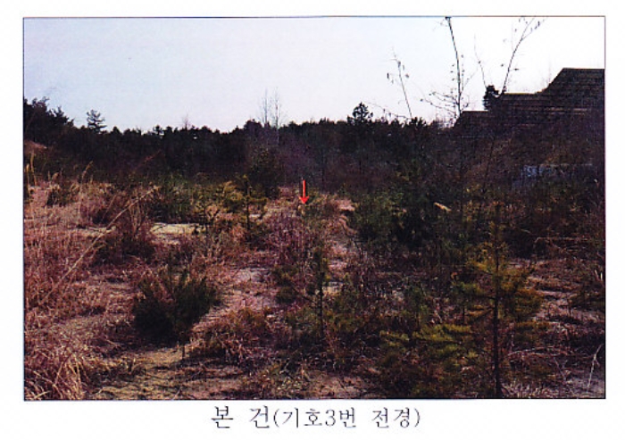 강원 강릉시 사천면 답 경매 물건 사진 3 · 2021타경30541