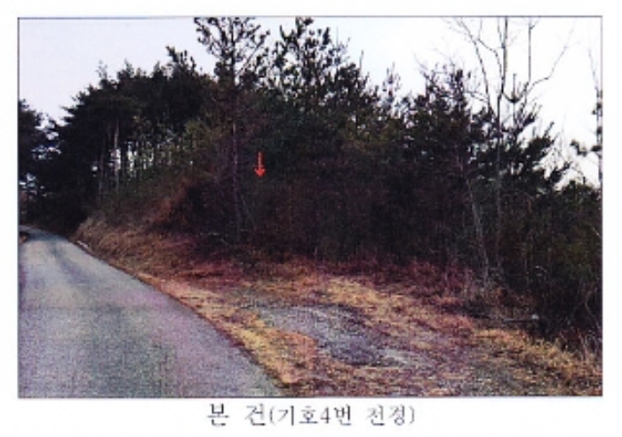 강원 강릉시 사천면 답 경매 물건 사진 4 · 2021타경30541