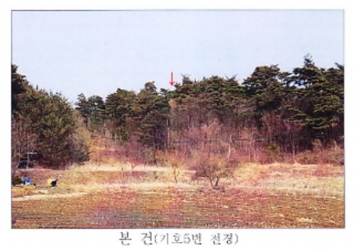 강원 강릉시 사천면 답 경매 물건 사진 5 · 2021타경30541