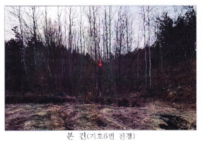 강원 강릉시 사천면 답 경매 물건 사진 6 · 2021타경30541