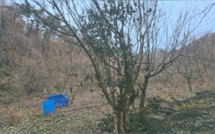 강원 삼척시 마평동 전 경매 물건 사진 6 · 2024타경1865