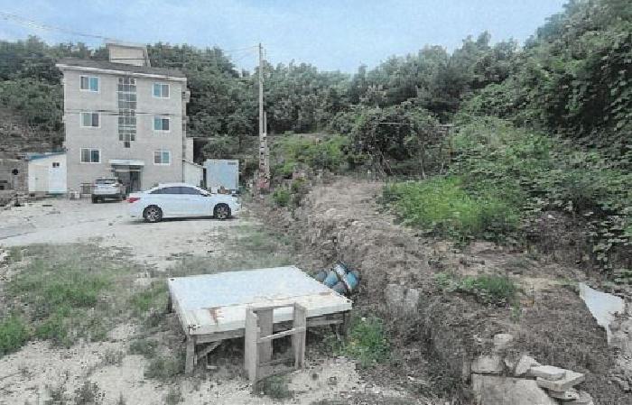강원 강릉시 홍제동 임야 경매 물건 사진 3 · 2025타경228
