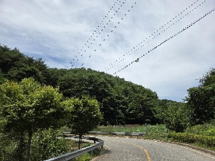 강원 삼척시 근덕면 임야 경매 물건 사진