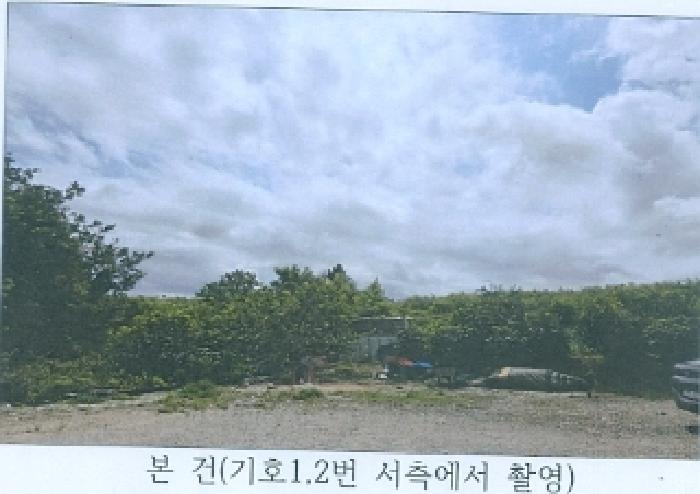 강원 강릉시 안현동 임야 경매 물건 사진