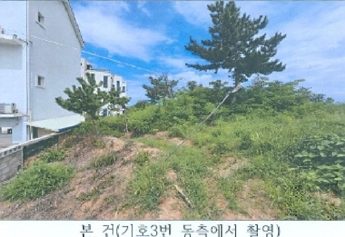 강원 강릉시 안현동 임야 경매 물건 사진 2 · 2025타경245