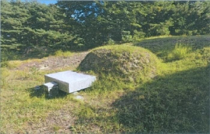 강원 강릉시 사천면 임야 경매 물건 사진 4 · 2025타경259