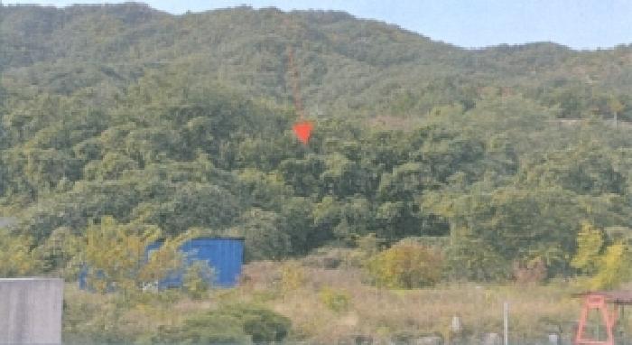 강원 삼척시 근덕면 대지,임야,전답 경매 물건 사진