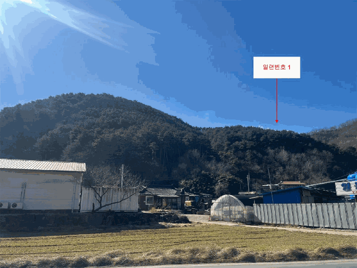 강원 삼척시 적노동 임야 경매 물건 사진 5 · 2025타경30444