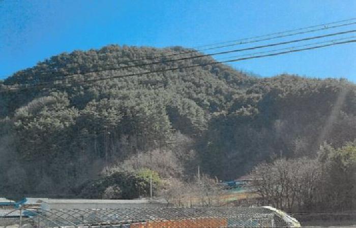 강원 삼척시 적노동 임야 경매 물건 사진