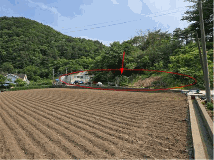 강원특별자치도 삼척시 미로면 천기리 산85 임야 경매 물건 사진
