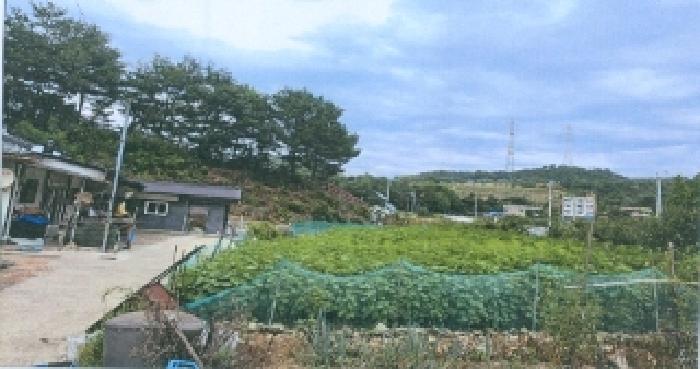 강원 삼척시 원덕읍 전답 경매 물건 사진