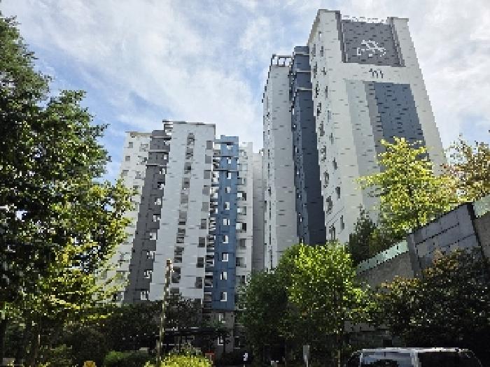 강원 강릉시 입암동 아파트 경매 물건 사진