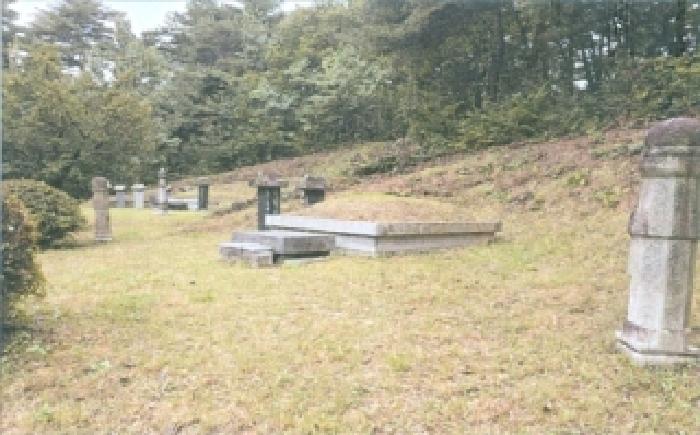 강원 강릉시 박월동 임야 경매 물건 사진