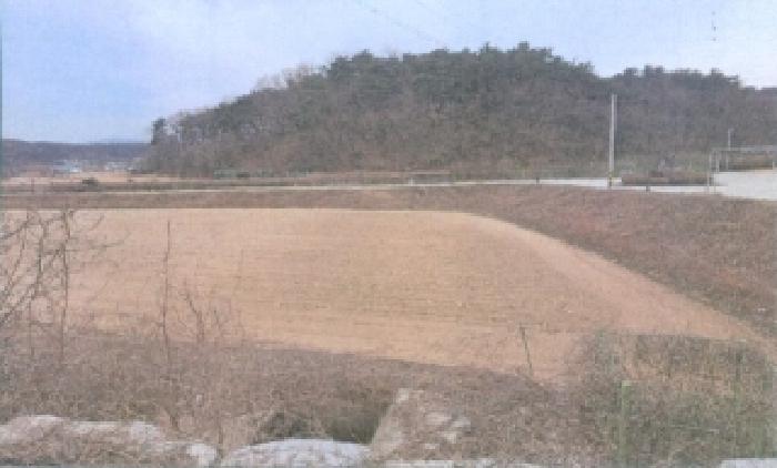 강원 강릉시 장현동 대지,임야,전답 경매 물건 사진