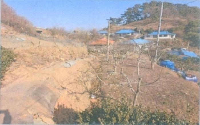 강원 삼척시 근덕면 대지,임야,전답 경매 물건 사진 3 · 2026타경50038
