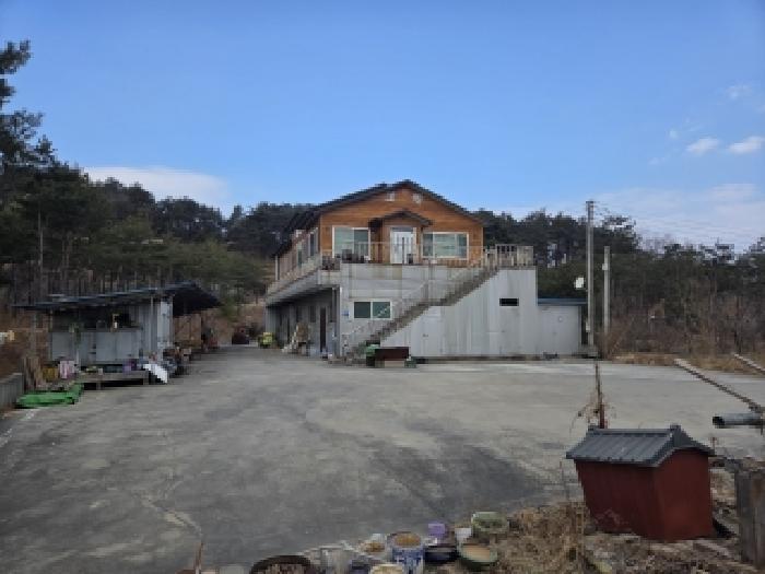 강원 강릉시 대전동 상가,오피스텔,근린시설 경매 물건 사진