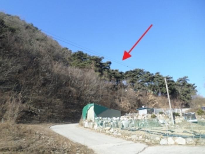 강원특별자치도 원주시 귀래면 귀래리 산102-9 임야 경매 물건 사진