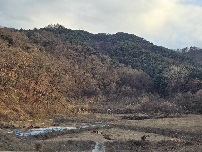강원 원주시 반곡동 임야 경매 물건 사진 2 · 2024타경406371