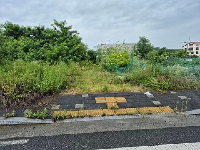 강원 원주시 행구동 공원 경매 물건 사진