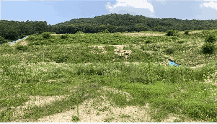 강원 원주시 소초면 답 경매 물건 사진 4 · 2025타경1322