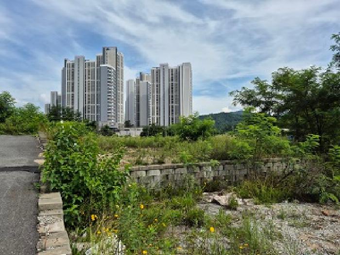 강원 원주시 판부면 임야 경매 물건 사진 3 · 2025타경1438