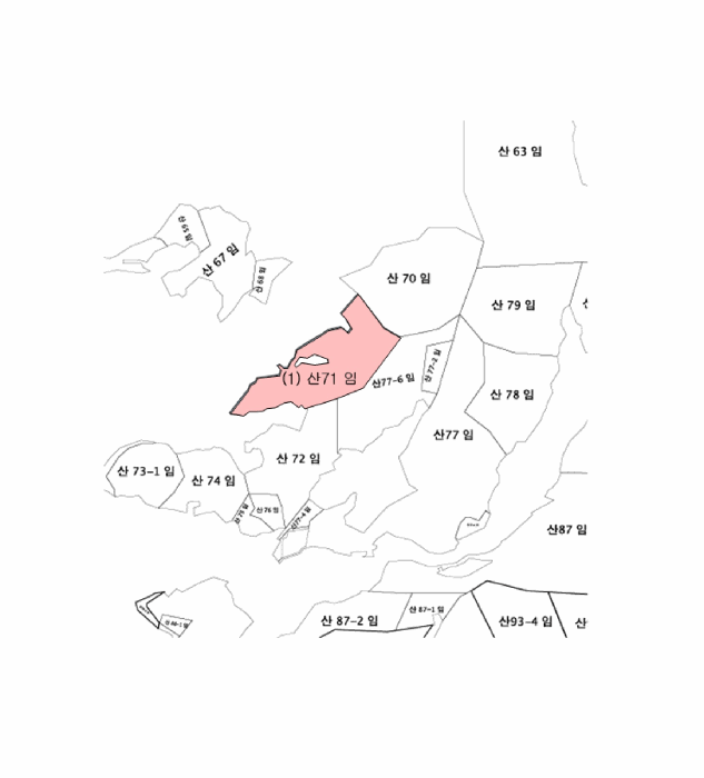 강원 원주시 문막읍 임야 경매 물건 사진 6 · 2025타경1445