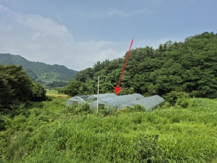 강원 횡성군 우천면 답 경매 물건 사진