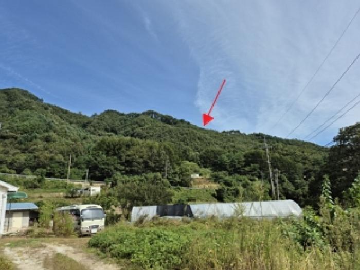강원 원주시 신림면 임야 경매 물건 사진