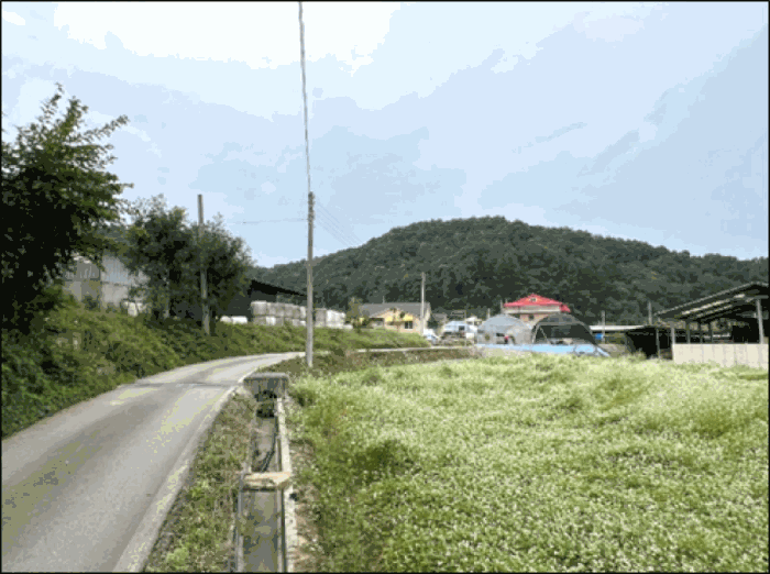 강원특별자치도 횡성군 횡성읍 정암리 112 단독주택 경매 물건 사진