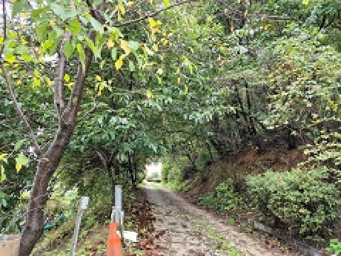 강원 원주시 관설동 단독주택다가구 경매 물건 사진