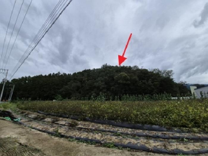 강원 원주시 봉산동 임야 경매 물건 사진