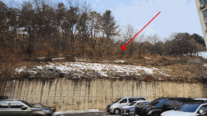 강원 원주시 문막읍 임야 경매 물건 사진 5 · 2025타경20248