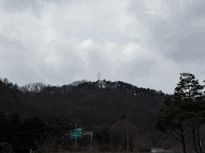 강원 원주시 무실동 임야 경매 물건 사진 5 · 2025타경20347