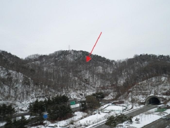 강원 원주시 무실동 임야 경매 물건 사진
