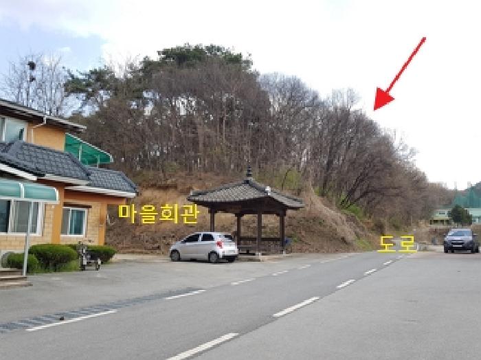 강원 횡성군 횡성읍 임야 경매 물건 사진
