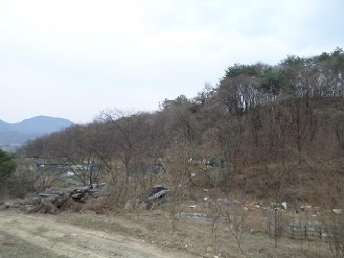 강원 원주시 흥업면 임야 경매 물건 사진 4 · 2025타경20539
