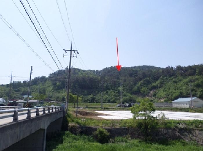 강원 원주시 부론면 임야 경매 물건 사진
