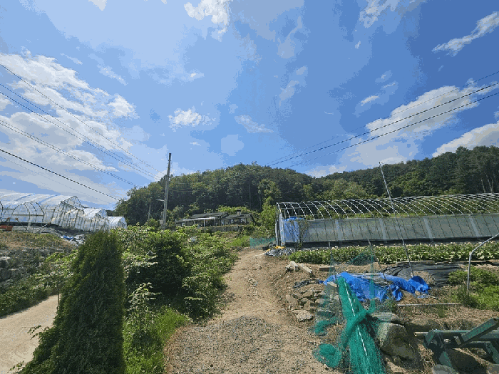 강원특별자치도 횡성군 둔내면 자포곡리 산195-14 임야 경매 물건 사진
