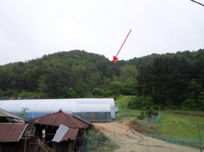 강원 횡성군 둔내면 임야 경매 물건 사진