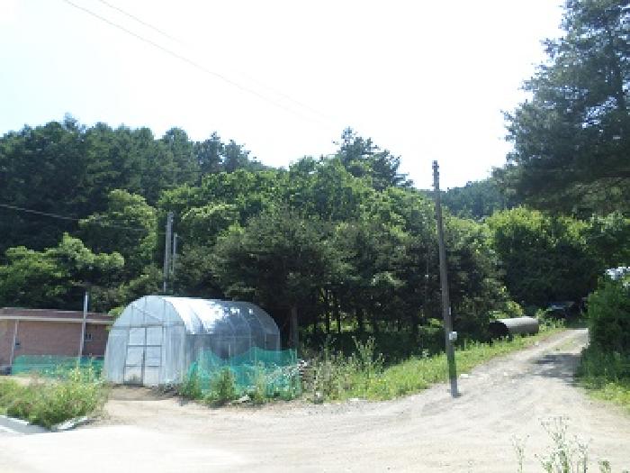 강원 원주시 소초면 답 경매 물건 사진