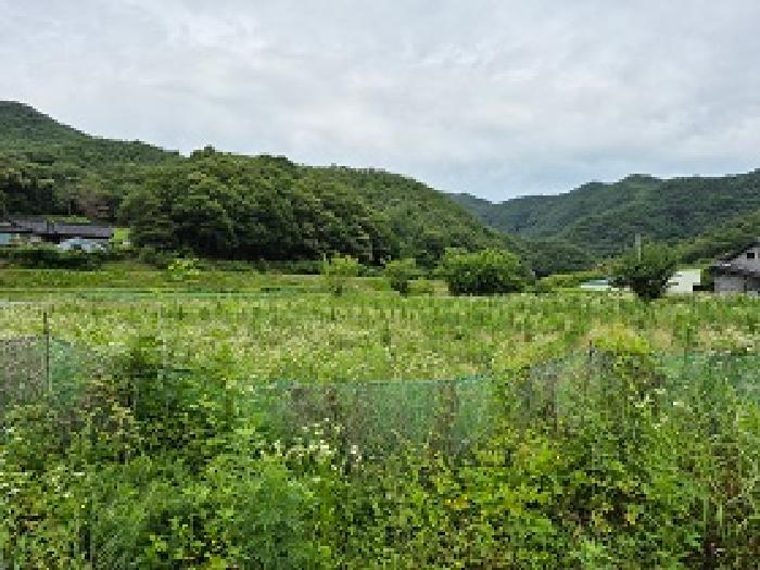 강원 원주시 호저면 답 경매 물건 사진