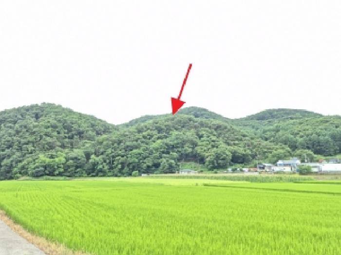 강원 원주시 호저면 임야 경매 물건 사진